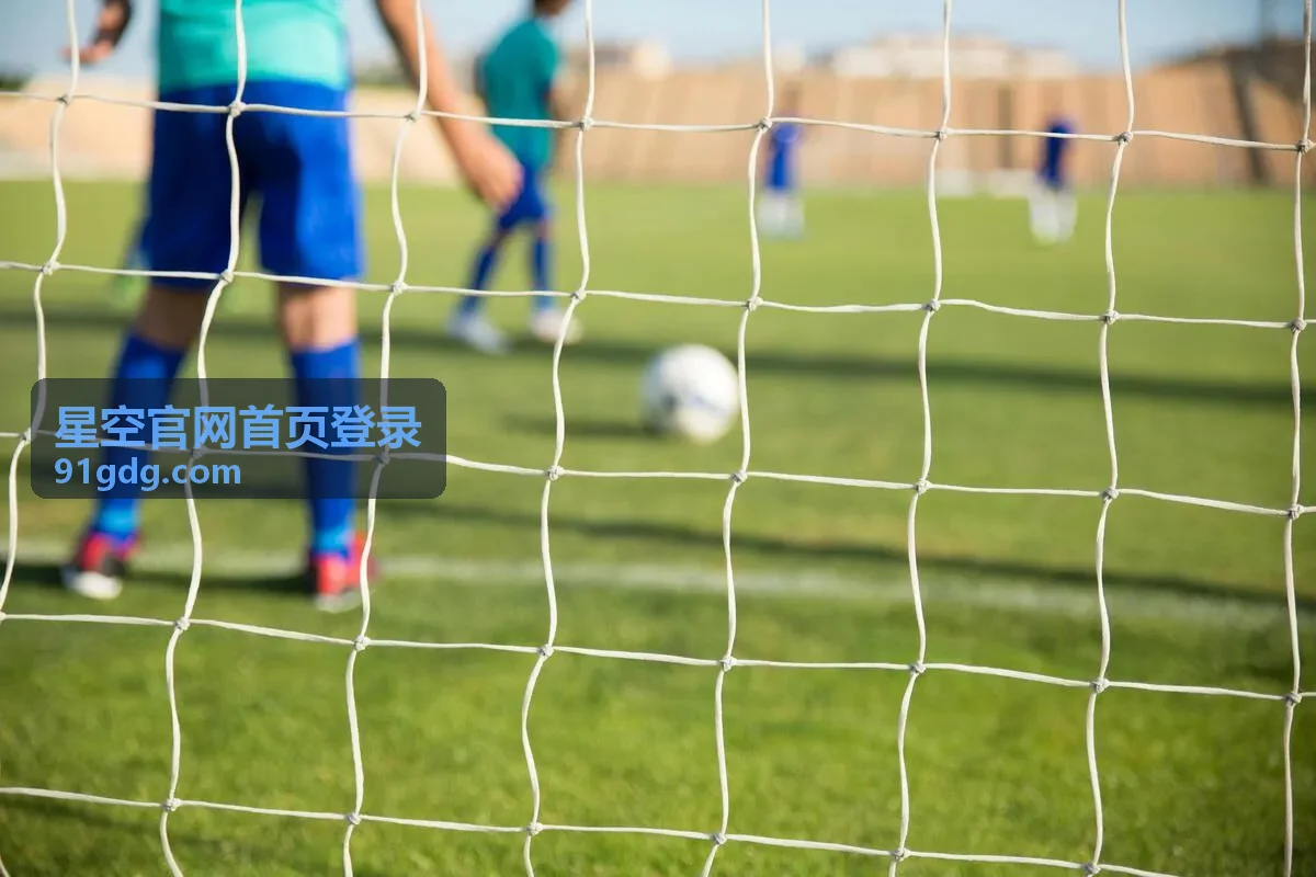 星空官网首页登录每日内容精选配图