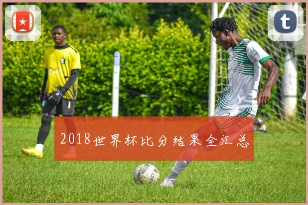 2018世界杯比分结果全汇总